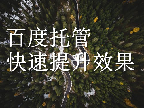 百度竞价200块钱的预算，代运营能做出效果吗